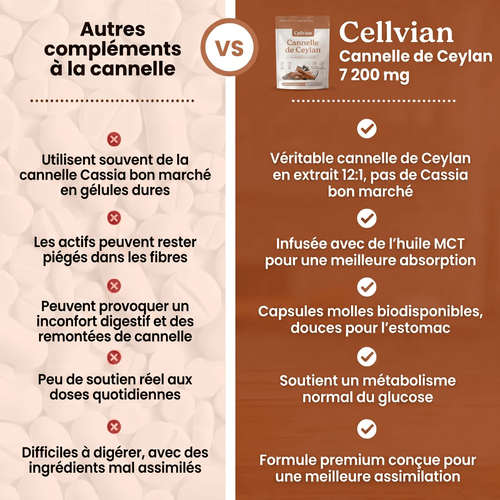 Cannelle de Ceylan 7 200 mg — soutien naturel de la glycémie