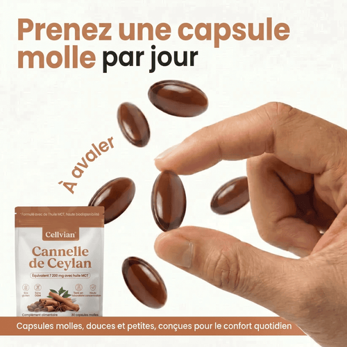 Cannelle de Ceylan 7 200 mg — soutien naturel de la glycémie