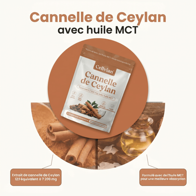 Cannelle de Ceylan 7 200 mg — soutien naturel de la glycémie