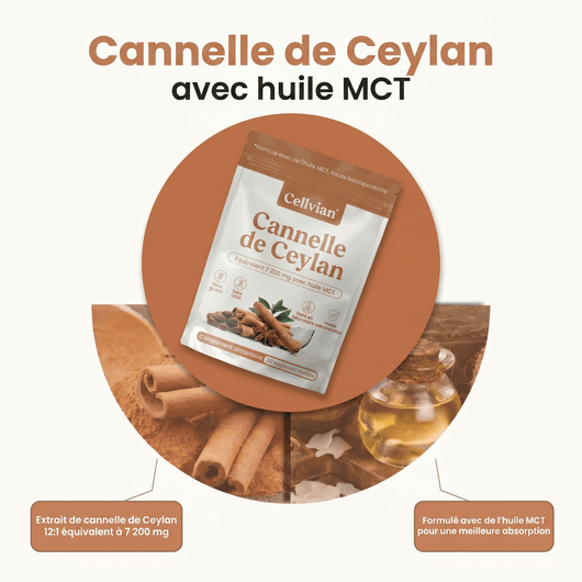 Cannelle de Ceylan 7 200 mg — soutien naturel de la glycémie